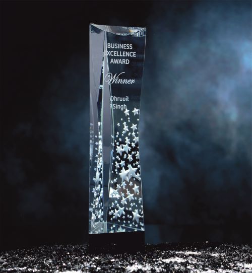 Triad Crystal Award