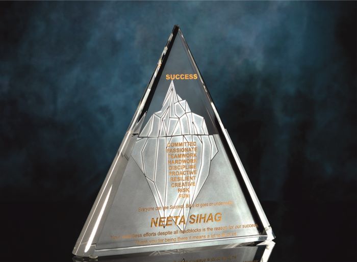 Visions Crystal Award